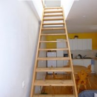 T4 Duplex